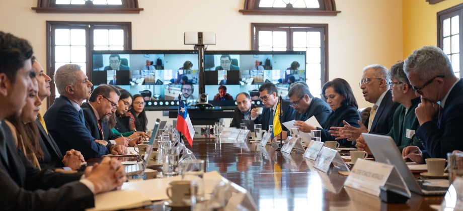 Chile y Colombia llevaron a cabo la III reunión de la Comisión de Asuntos Migratorios y Consulares, Colombia-Chile